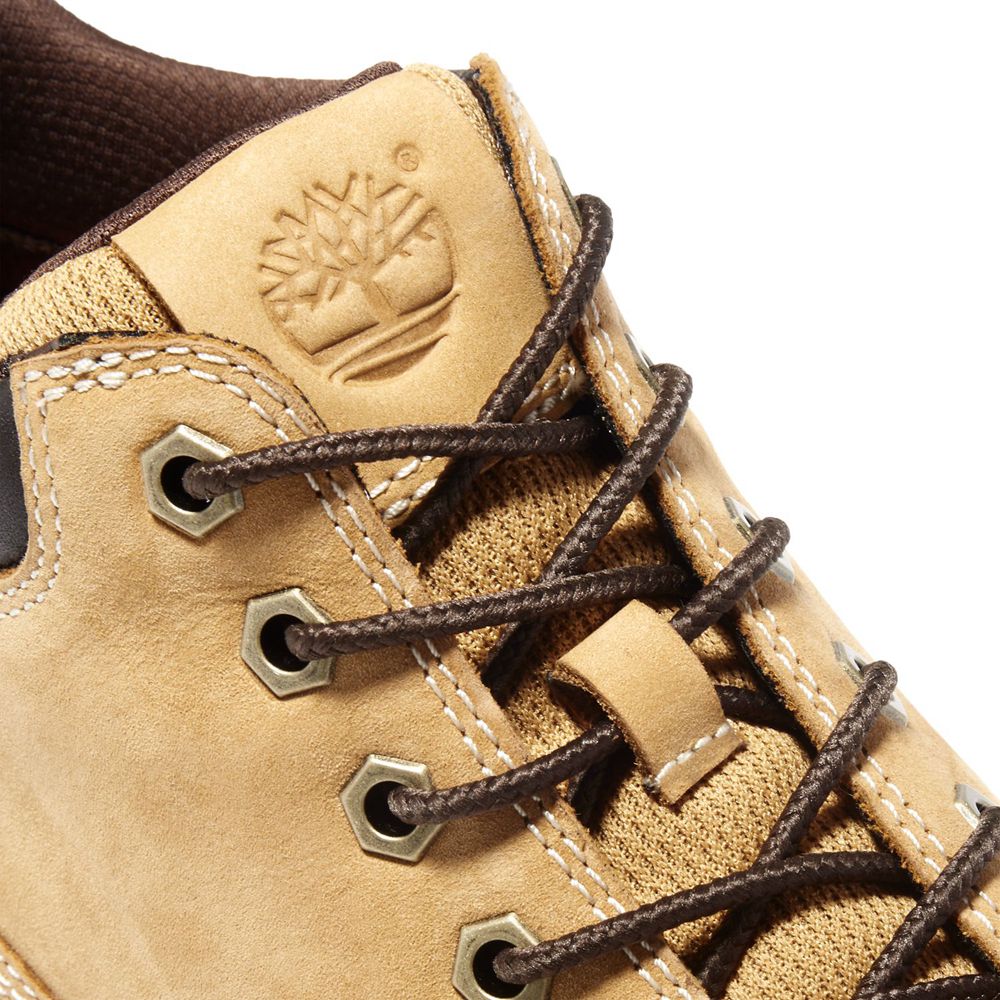 Botas de Seguridad Timberland Hombre Tenmile Marrones - Chile RQG-086729